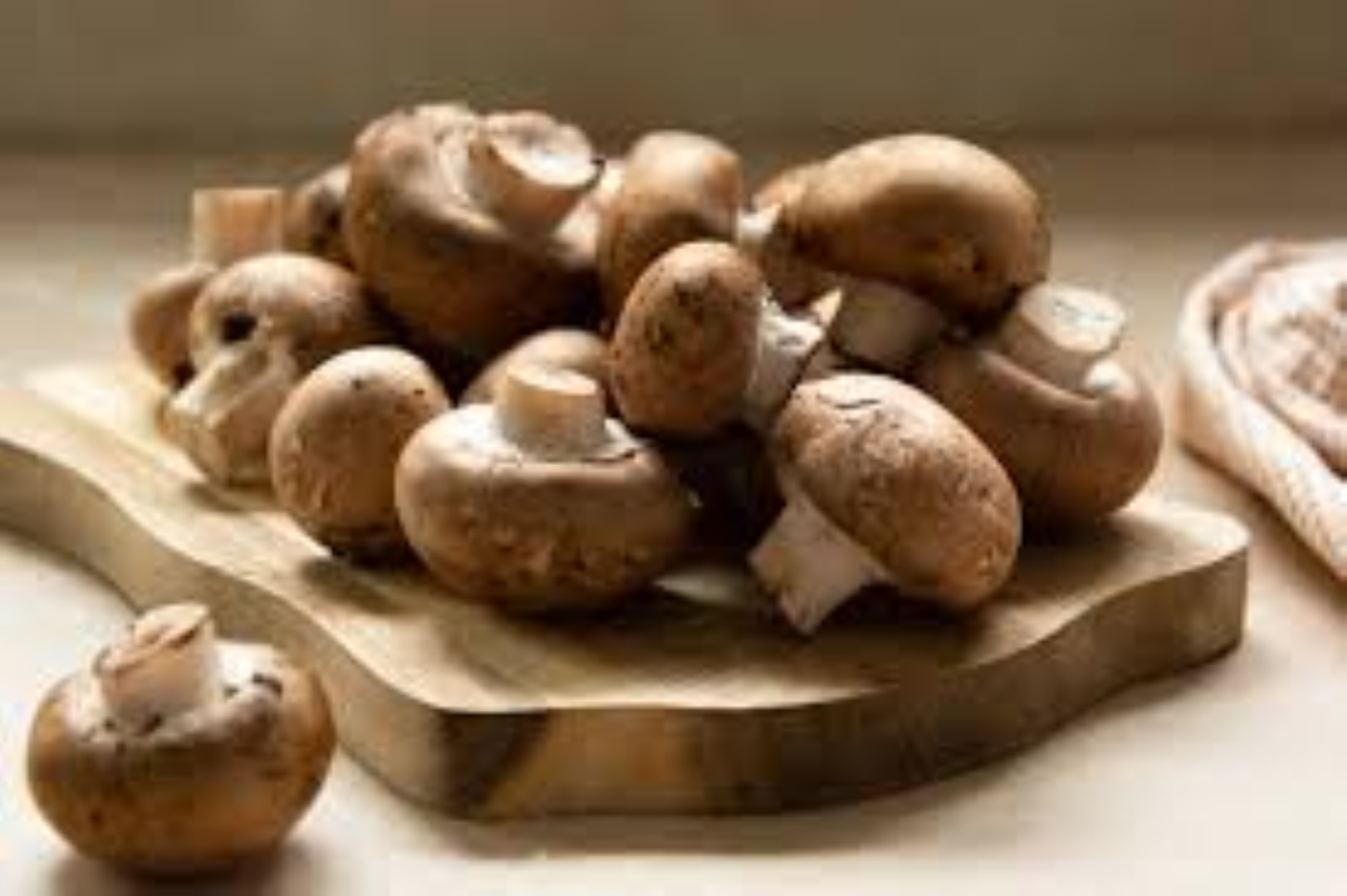 GOOD NATURE CREMINI MUSHROOMS 250G